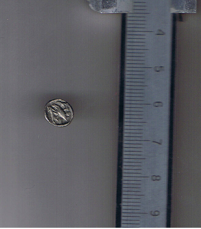 29 februarie 2008.jpg