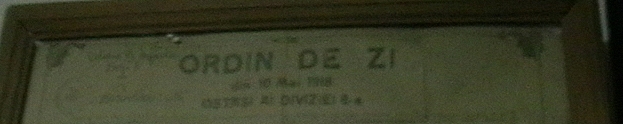 ordinuld de zi micsorat.jpg
