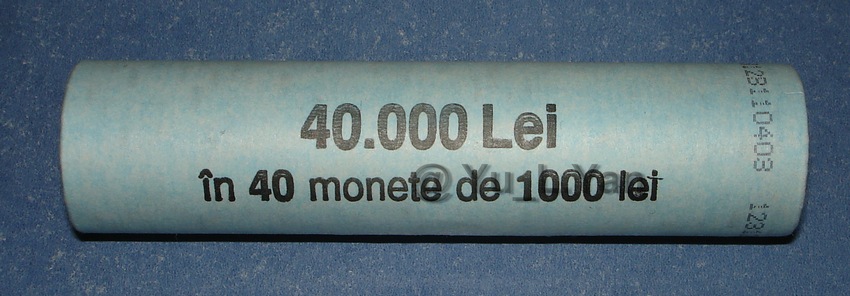 Fisic 1000 lei