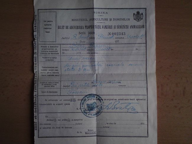 adeverire propr. fata.JPG