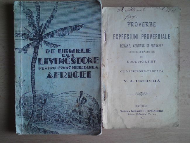 livingstone, proverbe.JPG