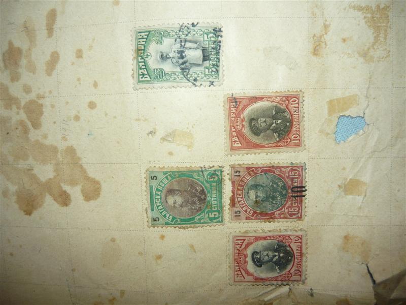 P1020704 (Medium).JPG