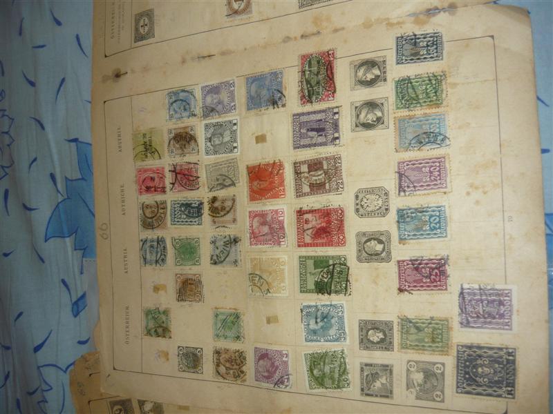 P1020699 (Medium).JPG