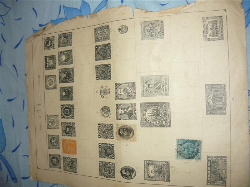 P1020693 (Medium).JPG