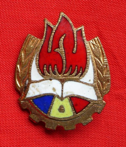 Emblema pionierilor - al 3-lea tip