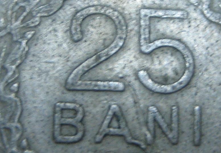 25bani.jpg