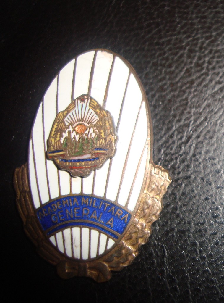 insigna academie stema mica.jpg