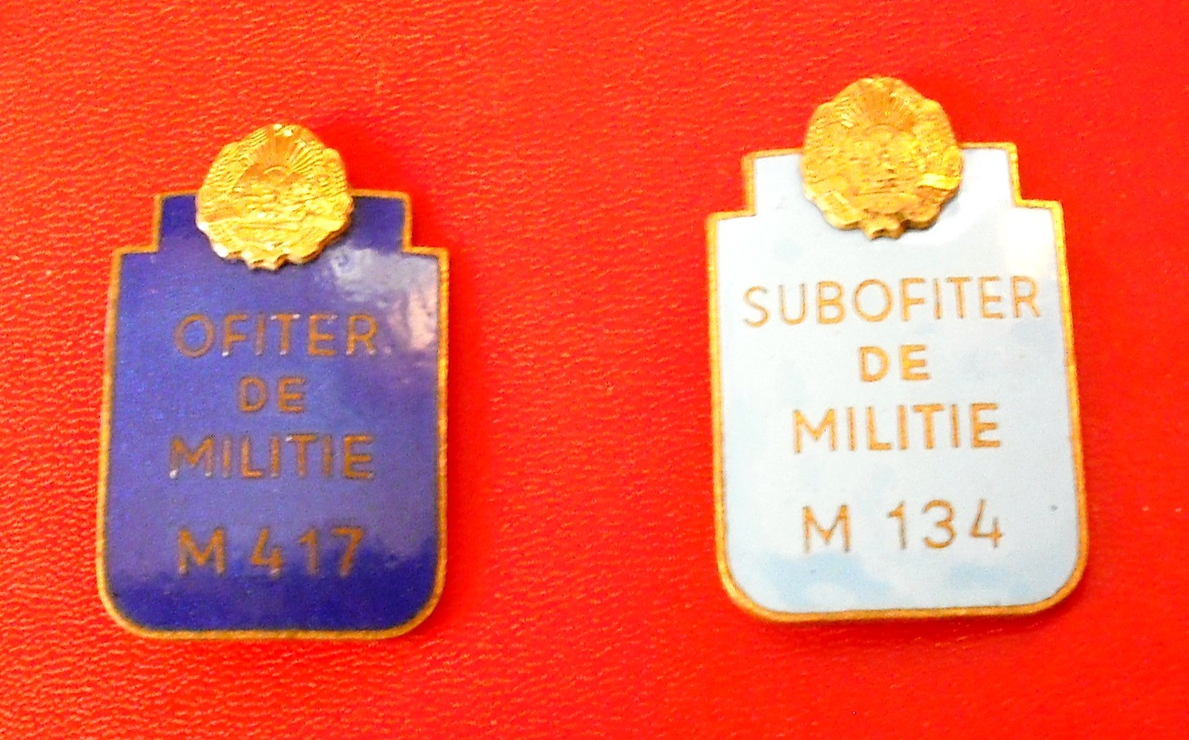 Insigne militian Of-Sof.jpg