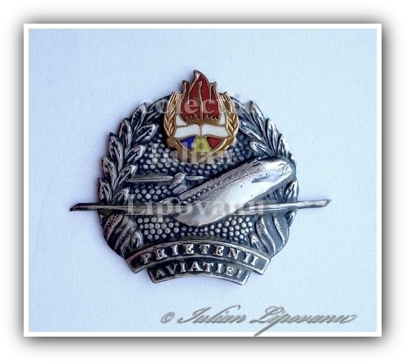 Prietenii Aviatiei.JPG