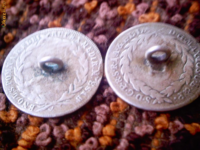 nasturi argin rv.jpg