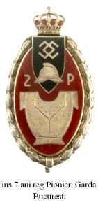 insigna 7 ani