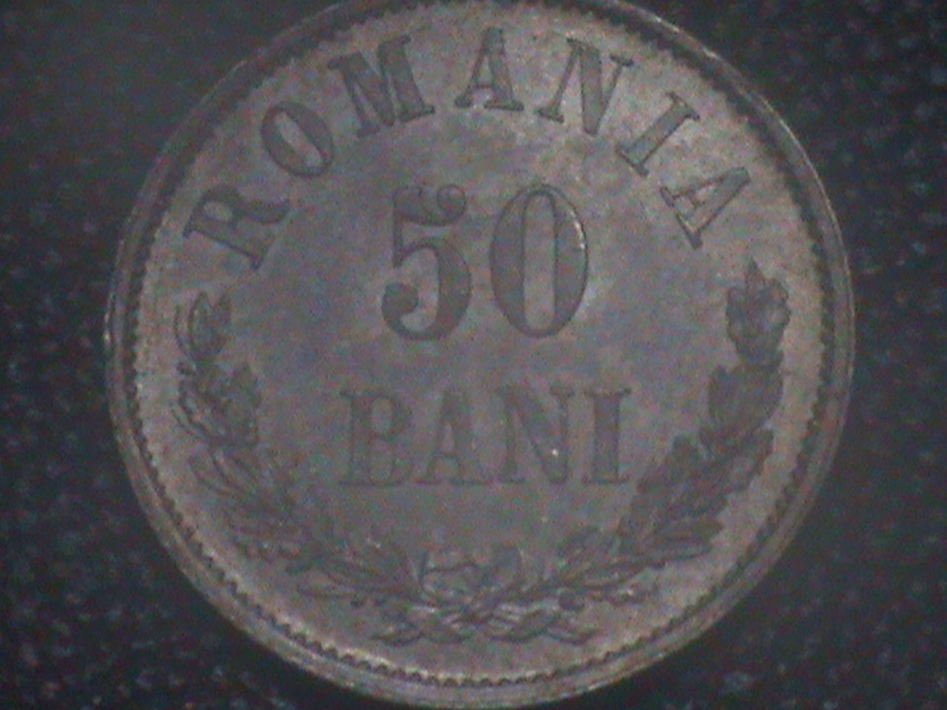 50 bani 1876 z4.jpg