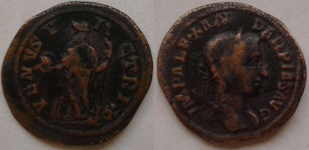 2012-12-18 15.40.04.jpg