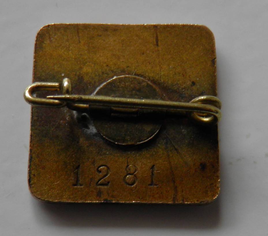 Poza cu reversul insignei.