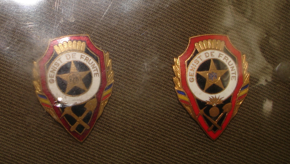 Genist de frunte ..jpg