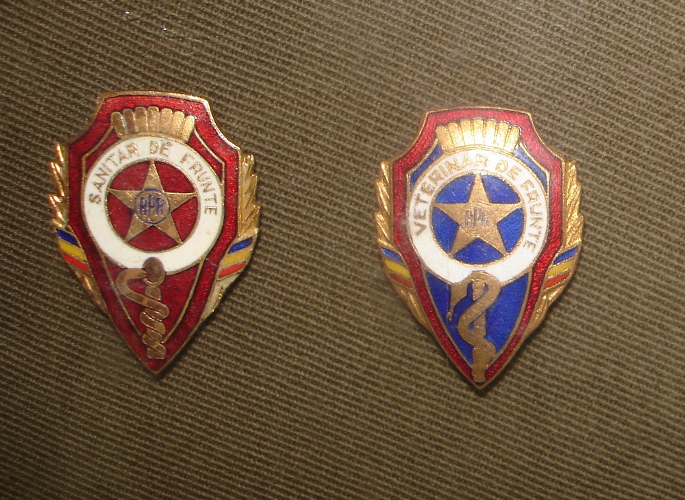 sanitar - veterinar.jpg