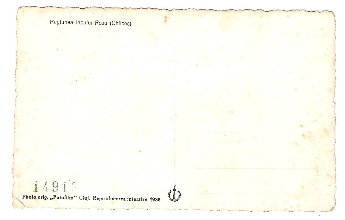 foto 41 001 - Copie.jpg