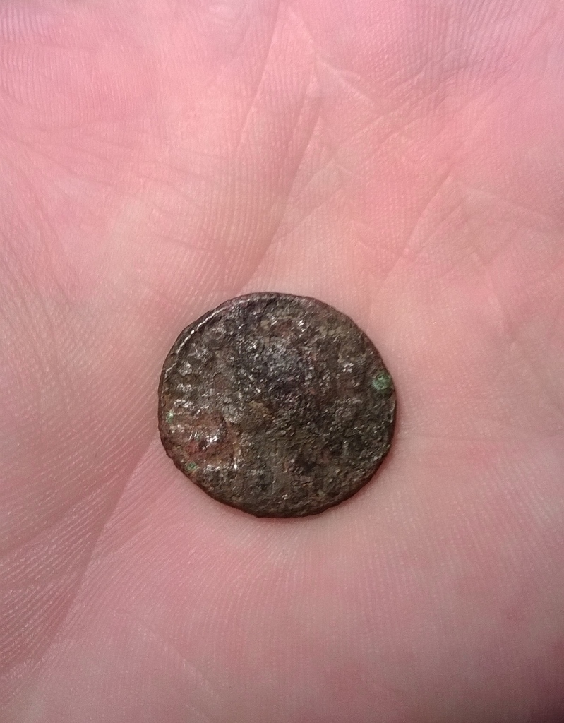 WP_20131111_032 (999x1280) (799x1024).jpg