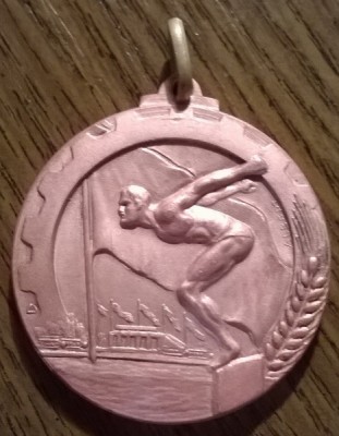 WP_20140823_004 (466x600).jpg