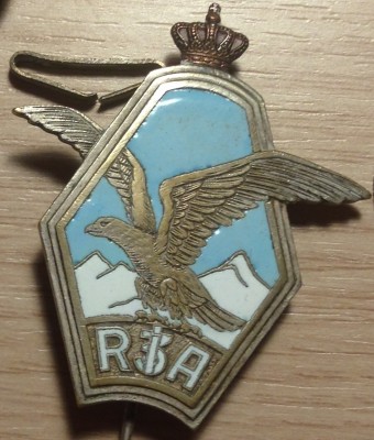 insigna Ro1_av.jpg