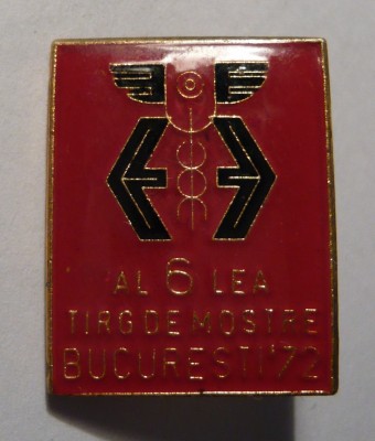 P1040914 (870x1024).jpg