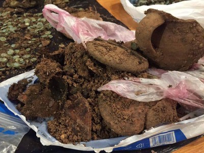 4 si mai multa receptie.jpg