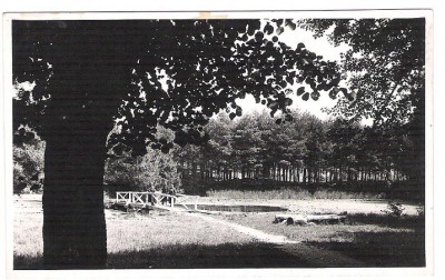 Vedere din Baile Episcopia