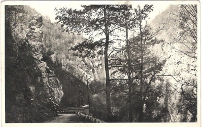 Petroseni -Pasul Surduc