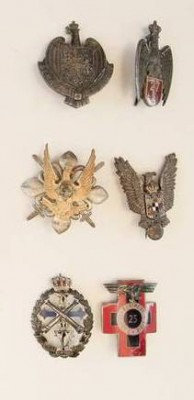 insigne regimentale2.jpg