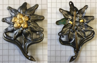 Floare de colt m.jpg