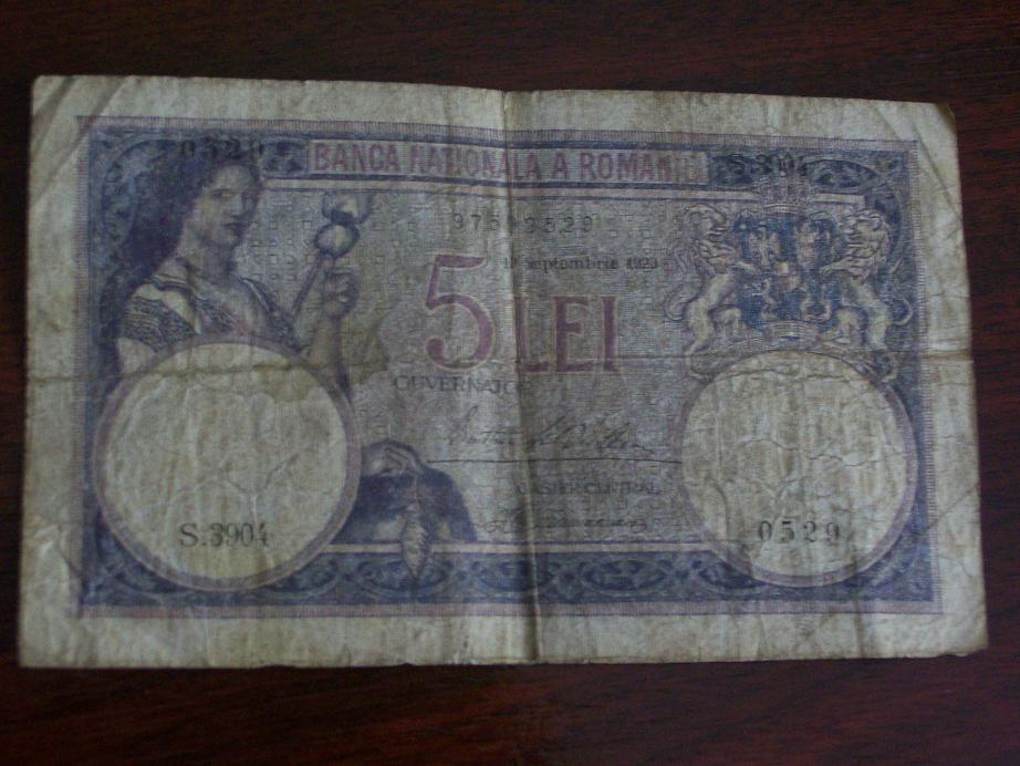5 lei.JPG