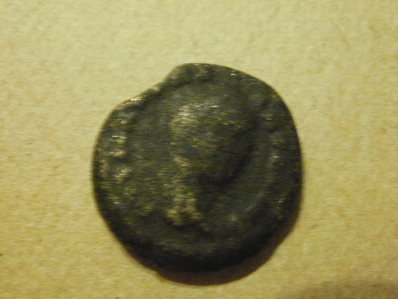 P6010005 [800x600].jpg