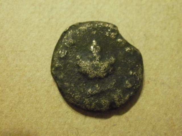 P6010006 [800x600] [640x480].jpg