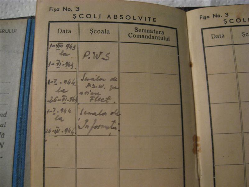 IMG_0058 (Medium).JPG