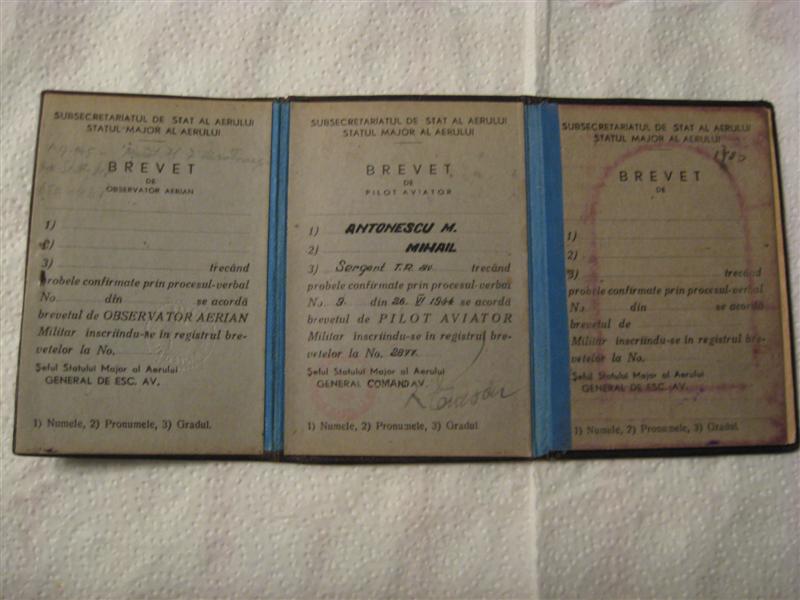 IMG_0048 (Medium).JPG