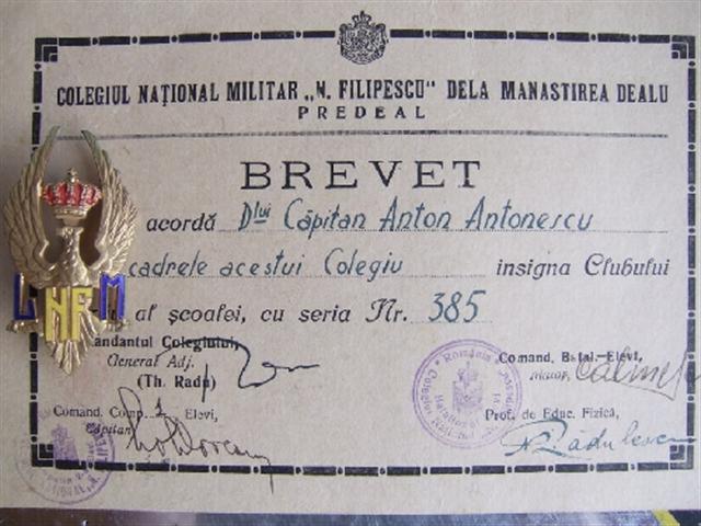 I.LMNF.cu doc (Small).jpg