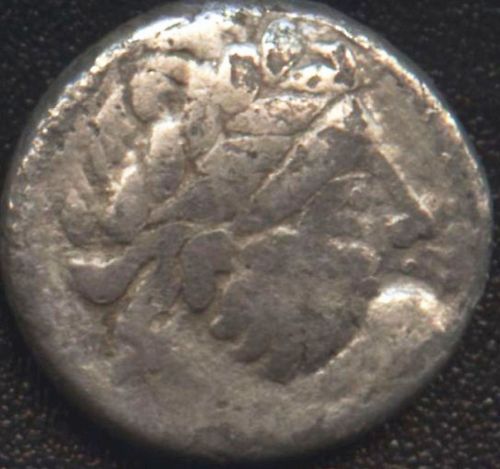 AF Scordiscii,av.jpg