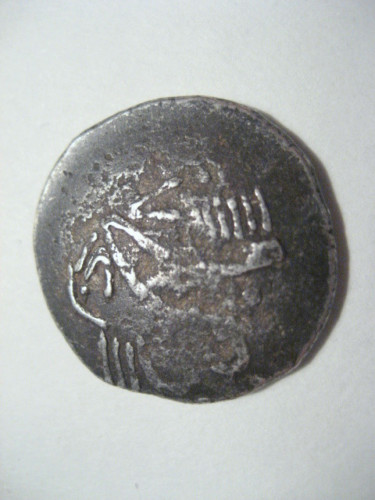 AF,tetradrahma transilv,sattelkopferd,av,dalps,7,5g 22mm.jpg